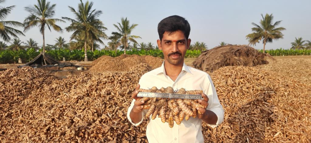Choosing the right variety of potato to grow at home